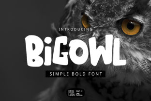 Big Owl: A Display Font That Commands Attention