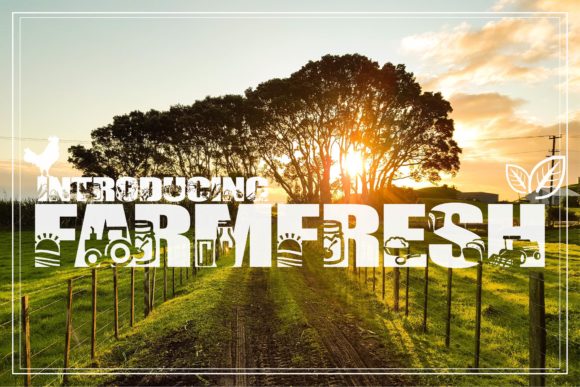 Farm Fresh Font: A Display Typeface That Delivers Quirk & Clarity