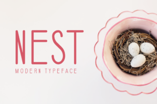 Font That Shapes Your Brand: How Nest Elevates Your Business