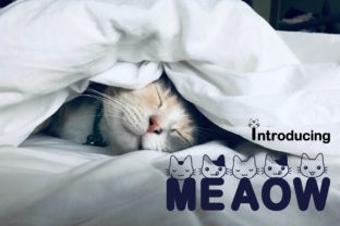 Meaow: A Playful Display Font That Grabs Attention