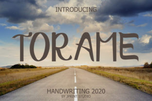 Torame: A Versatile Display Font for Dynamic Campaigns